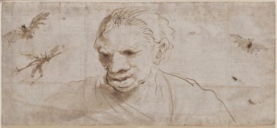 एक चुड़ैल, दो चमगादड़, और फ्लाइट में एक दानव, 17 वीं सदी की शुरुआत में (कागज पर भूरे रंग के धो के साथ कलम और भूरी स्याही) द्वारा जियोवन्नी फ्रांसेस्को बारबेरि (इल गुसेरिनो)